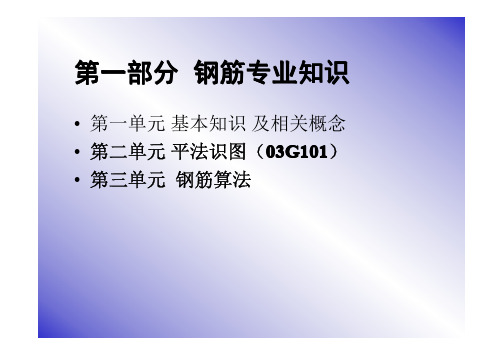 钢筋图集 系列图集梁板柱钢筋平法图解