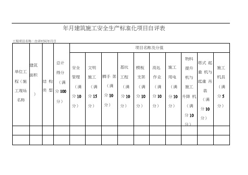 项目度自评表总表项分表