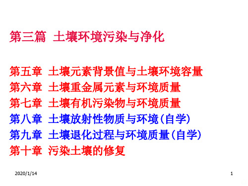 土壤重金属元素与环境质量PPT课件