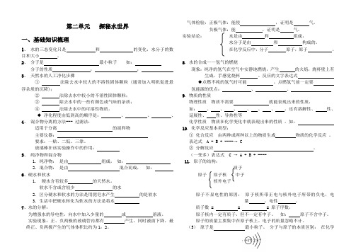 鲁教版九年级化学复习学案(二)