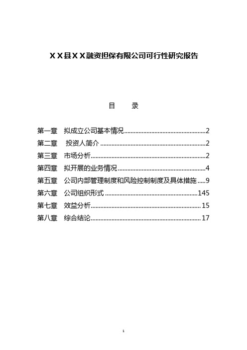 融资担保有限公司可行性研究报告