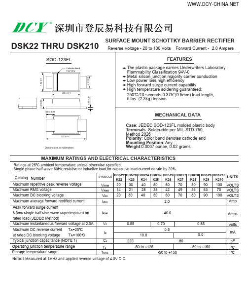 DSK210SOD-123肖特基二极管原厂DCY品牌推荐