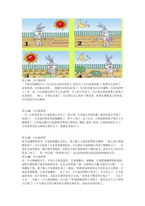 小白兔种白菜看图写话小学二年级