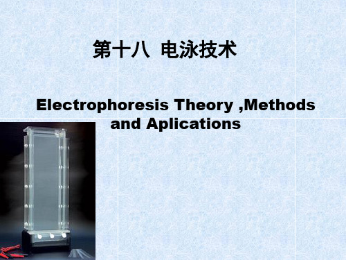 电泳技术生化实验资料