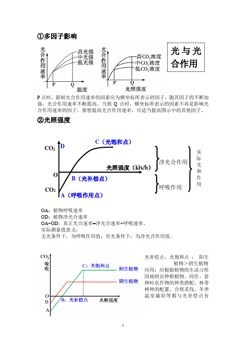 光与光合作用  图表