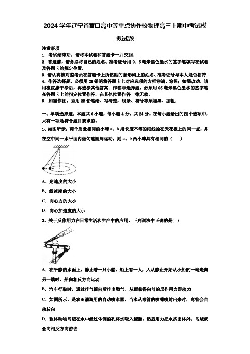 2024学年辽宁省营口高中等重点协作校物理高三上期中考试模拟试题含解析