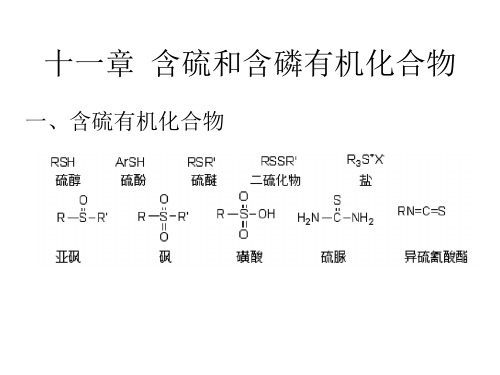 含硫有机化合物课件