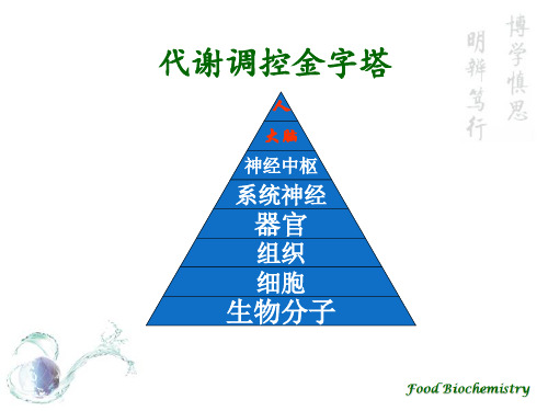 食品生物化学汇总ppt课件.ppt