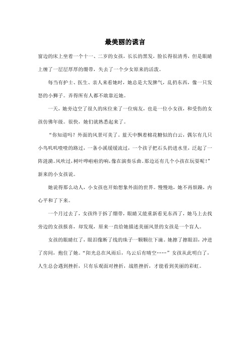 最美丽的谎言_小学六年级作文500字