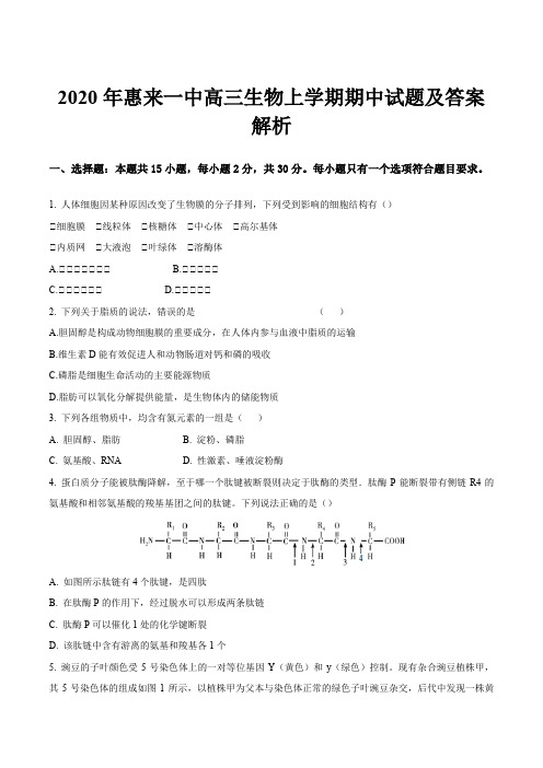 2020年惠来一中高三生物上学期期中试题及答案解析