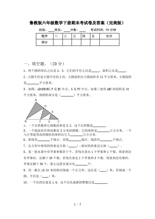 鲁教版六年级数学下册期末考试卷及答案(完美版)