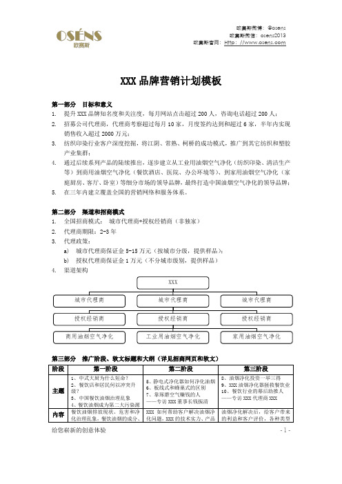 欧赛斯品牌营销推广计划模板