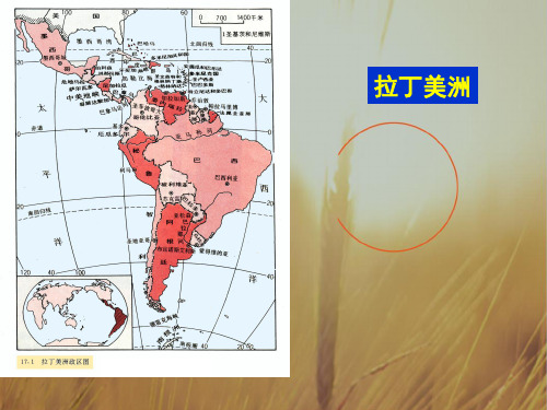 最新-2018年中考区域地理复习课件 拉丁美洲和巴西 人教新课标版 精品 