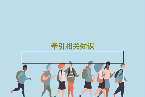 牵引相关知识52页PPT