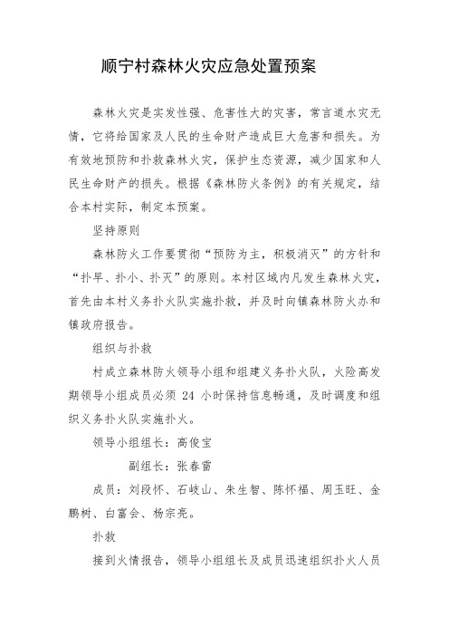 顺宁村森林火灾应急处置预案