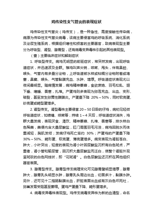 鸡传染性支气管炎的表现症状