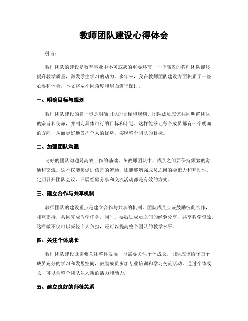 教师团队建设心得体会