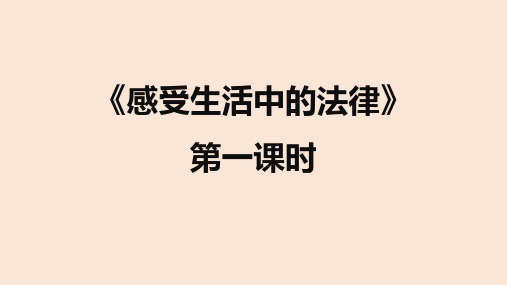 《感受生活中的法律》道德与法治六年级上