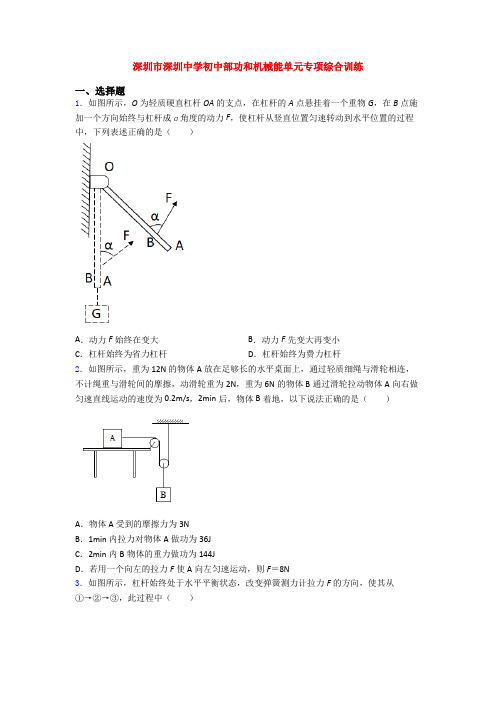 深圳市深圳中学初中部功和机械能单元专项综合训练