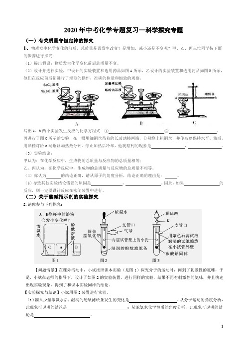 2020年中考化学科学探究专题(配答案)