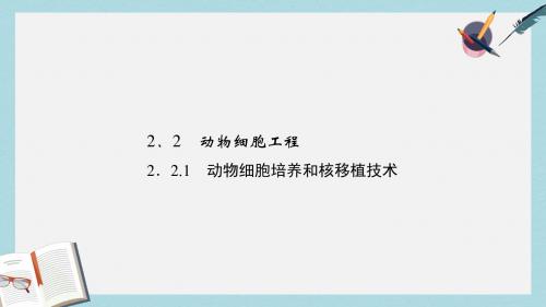 人教版高中生物选修三2.2.1《动物细胞培养和核移植技术》ppt课件