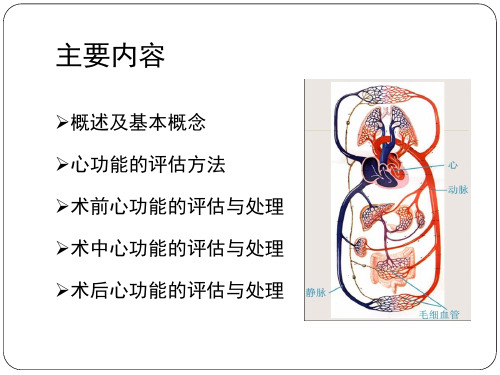 围手术期心功能评估与处理课件