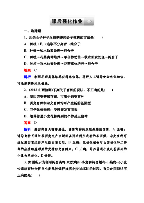 浙江省温州市高考生物一轮复习课后强化作业：243从杂