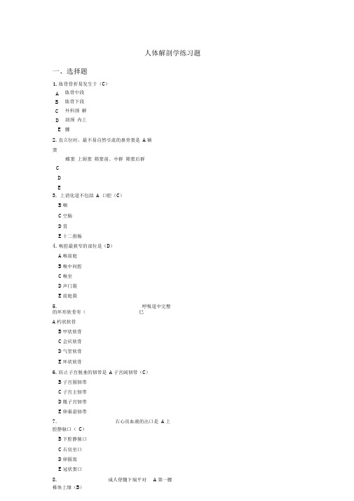 人体解剖学后附答案解读