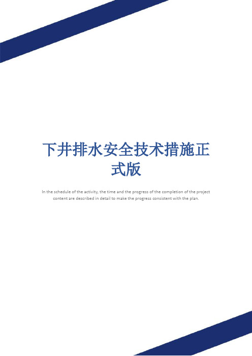 下井排水安全技术措施正式版