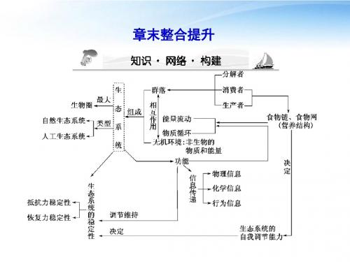 【课堂新坐标】2012高三生物一轮复习第四章生态系统的稳态(精)