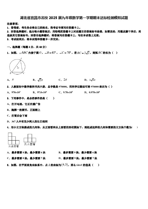 湖北省宜昌市名校2025届九年级数学第一学期期末达标检测模拟试题含解析