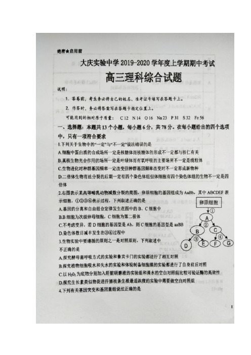 黑龙江大庆实验中学高三上学期期中考试理科综合试题 含答案