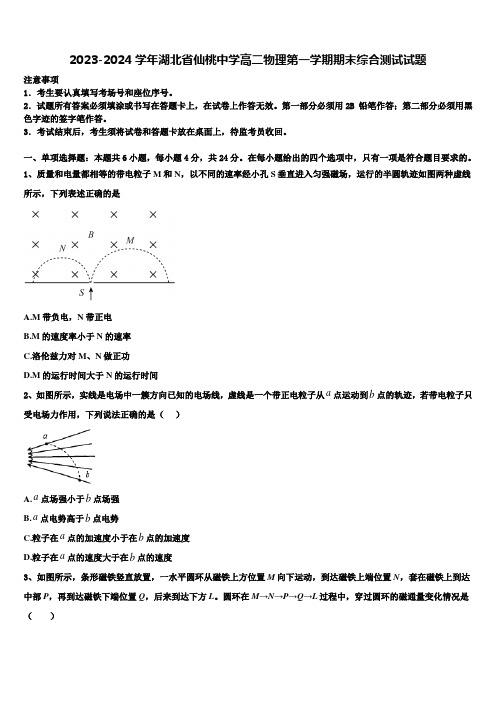 2023-2024学年湖北省仙桃中学高二物理第一学期期末综合测试试题含解析