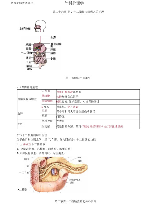 初级护师-外科护理学讲义第26章胃十二指肠疾病病人的护理