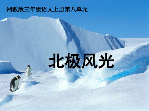 最新湘教版小学语文三年级上册课件:北极风光课件(2) 优质课件