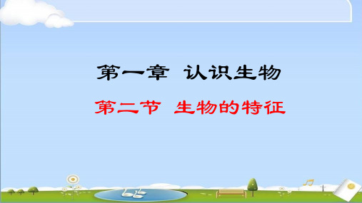 2024年秋新人教版生物七年级上册课件 第一章 认识生物 1.1.2 生物的特征