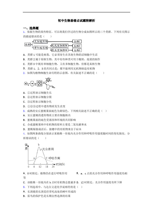 初中生物易错点试题附解析