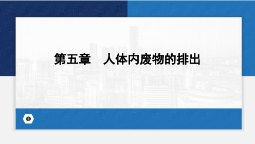 人体内废物的排出课件(共26张PPT)人教版生物七年级下册