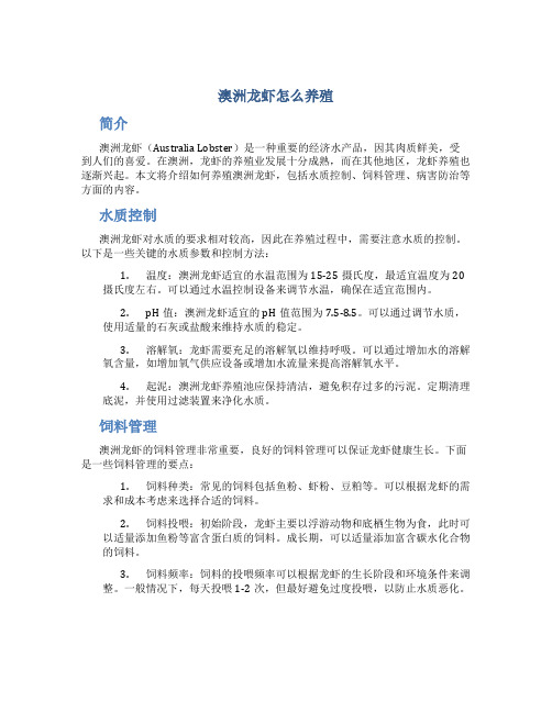 澳洲龙虾怎么养殖