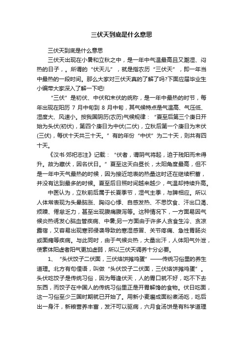 三伏天到底是什么意思