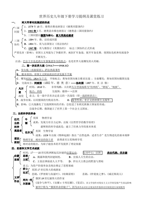 九年级历史下册复习提纲