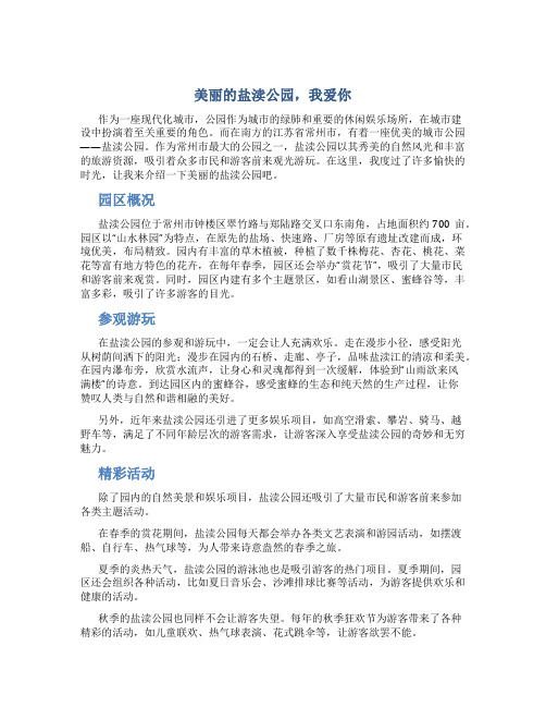美丽的盐渎公园我爱你作文750字