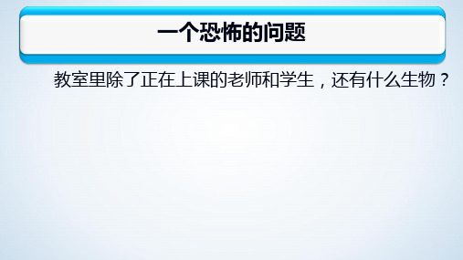 冀少版八年级生物上册：5.2.1 酵母菌和霉菌  课件(共47张PPT)