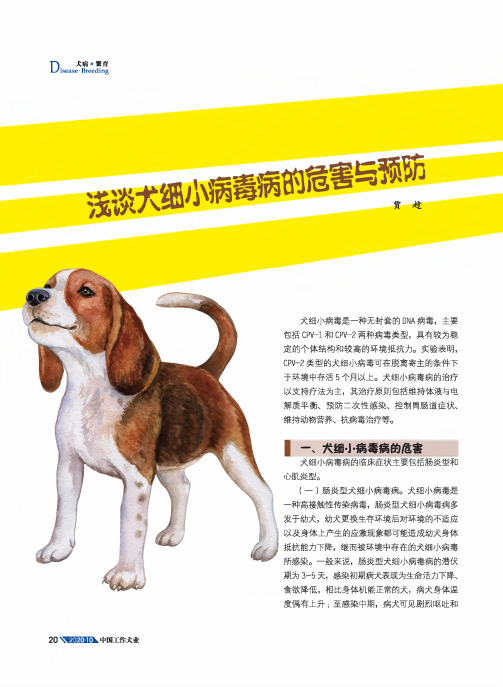 浅谈犬细小病毒病的危害与预防