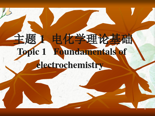 物理化学电化学理论基础ppt