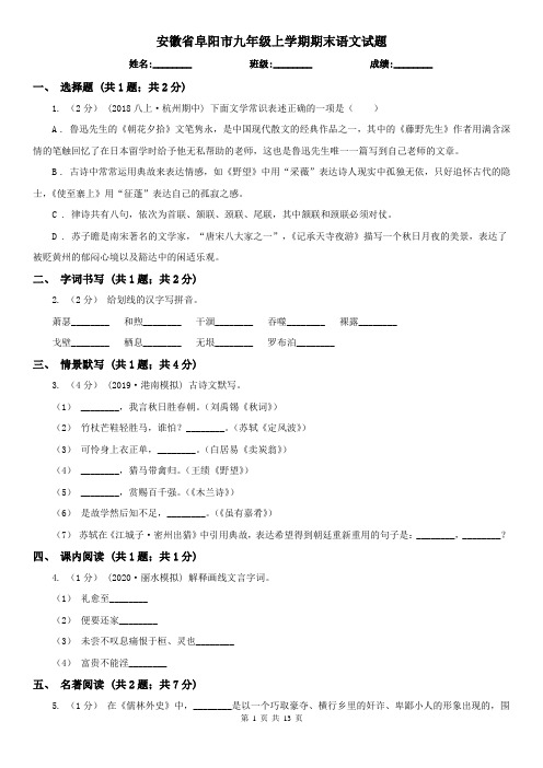 安徽省阜阳市九年级上学期期末语文试题