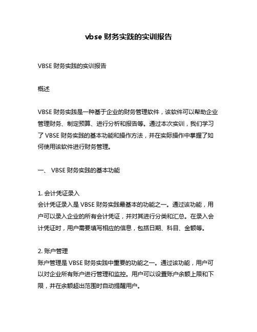 vbse财务实践的实训报告