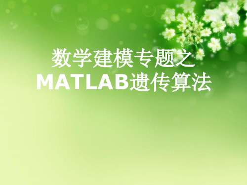 数学建模专题之MATLAB遗传算法优秀课件