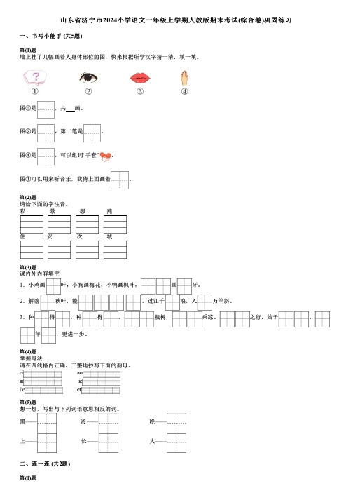 山东省济宁市2024小学语文一年级上学期人教版期末考试(综合卷)巩固练习