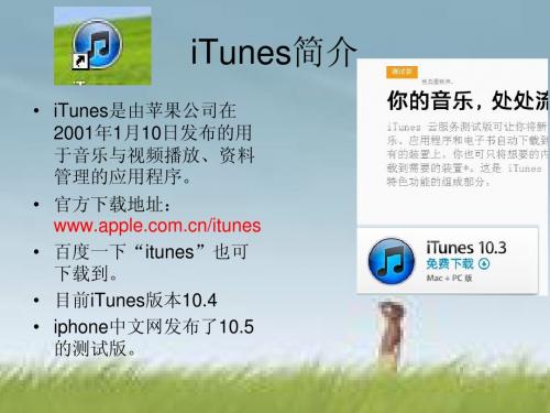 itunes使用